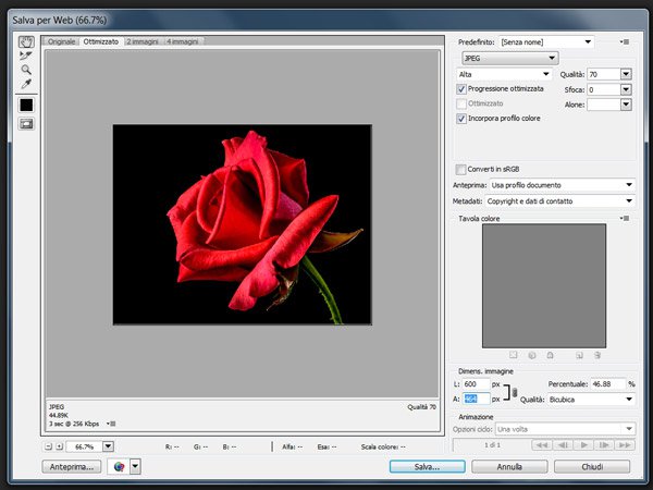 immagini-salva-per-web
